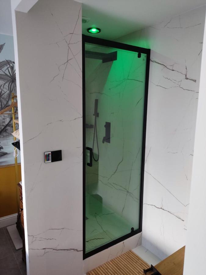 Superbe Appartement Avec Jacuzzi Avec Jardin Prive ليون المظهر الخارجي الصورة