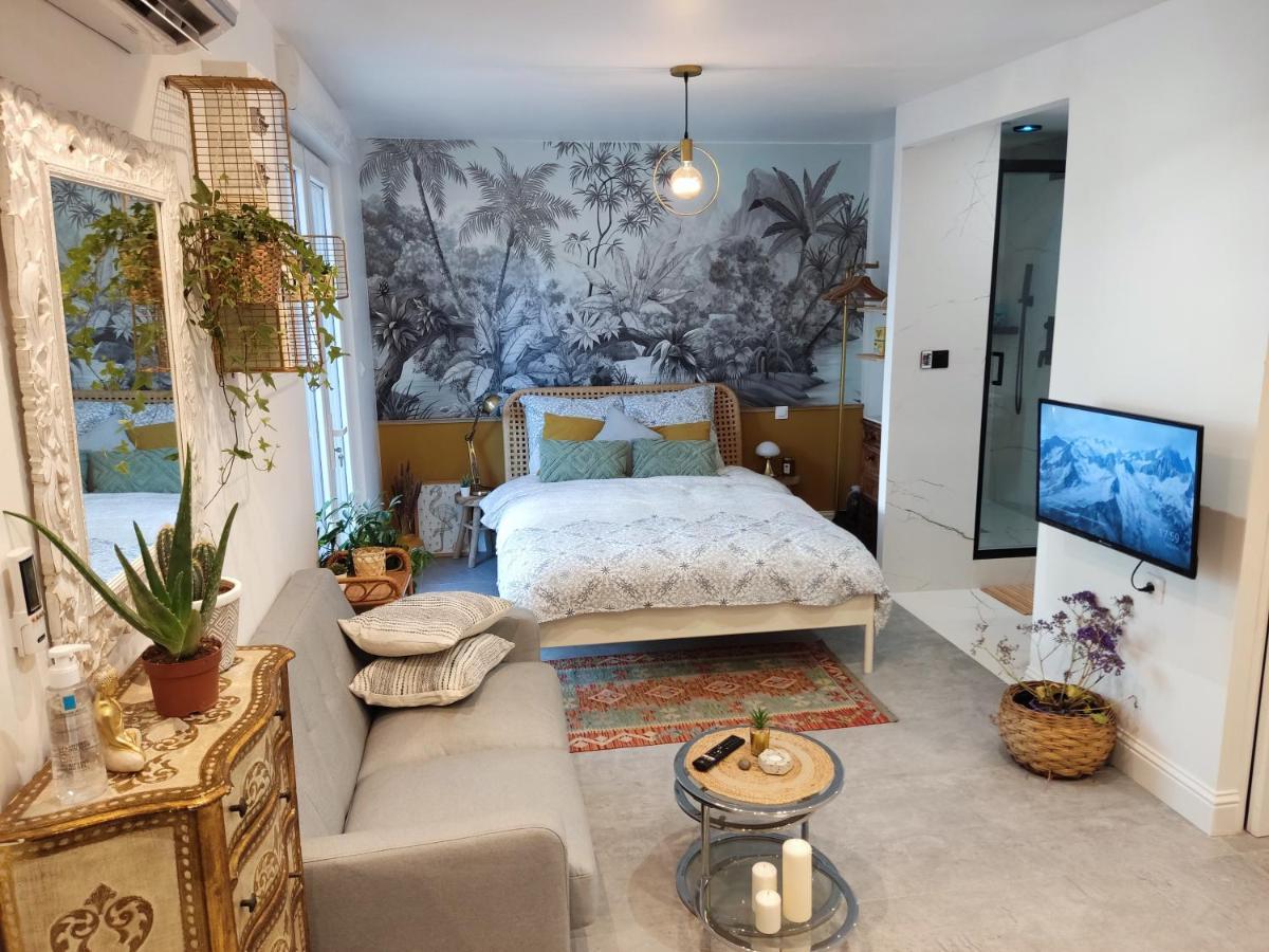 Superbe Appartement Avec Jacuzzi Avec Jardin Prive ليون المظهر الخارجي الصورة